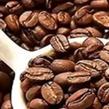 Coffee Packaging