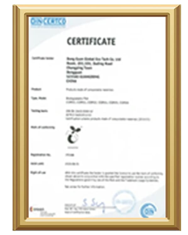 CE Marking Certificate