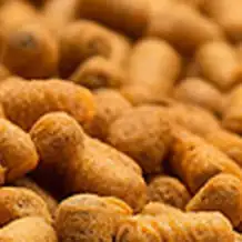 Pet Food Packaging